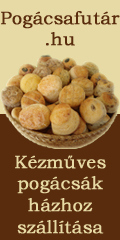 K&eacute;zm&ucirc;ves pog&aacute;cs&aacute;k h&aacute;zhozsz&aacute;ll&iacute;t&aacute;sa