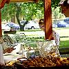 _IGP1677_small