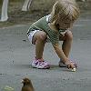 _IGP2241_small