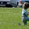 _IGP2311_small
